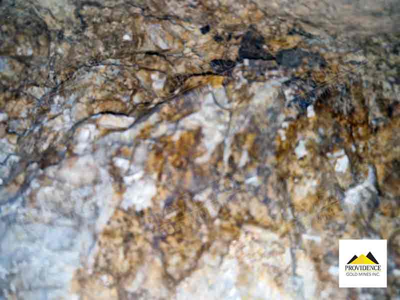 Providence Gold Mines Inc. LA DAMA de ORO GOLD Update